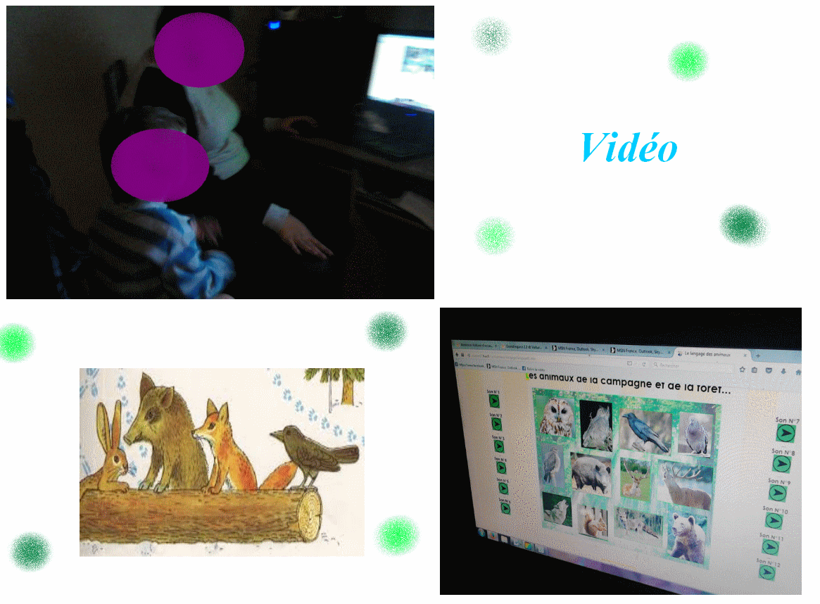 Les cris des animaux de la fôret