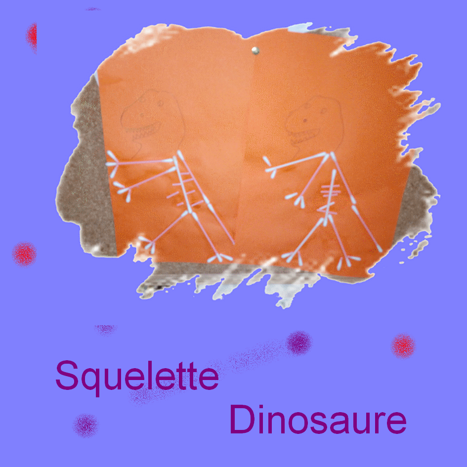 squelette dinosaure 